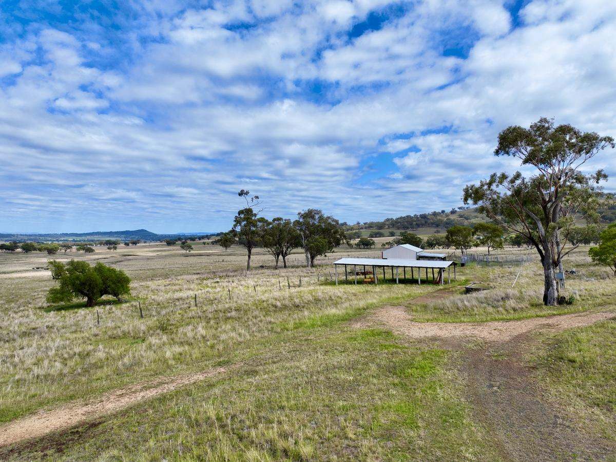 713 Swinging Ridges Road, Willow Tree For Sale by Farmbuy.com - image 15