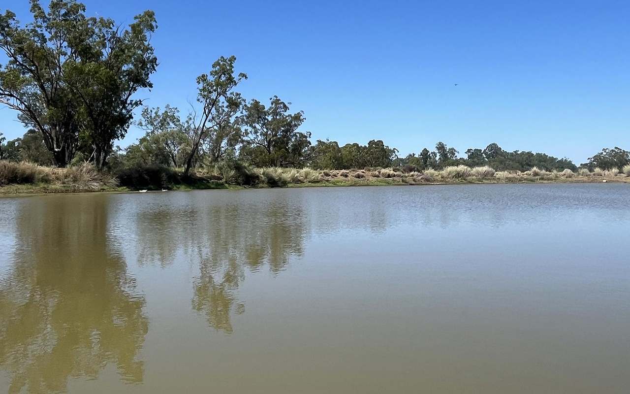 27926 Carnarvon Highway, Tingun Auction by Farmbuy.com - image 5
