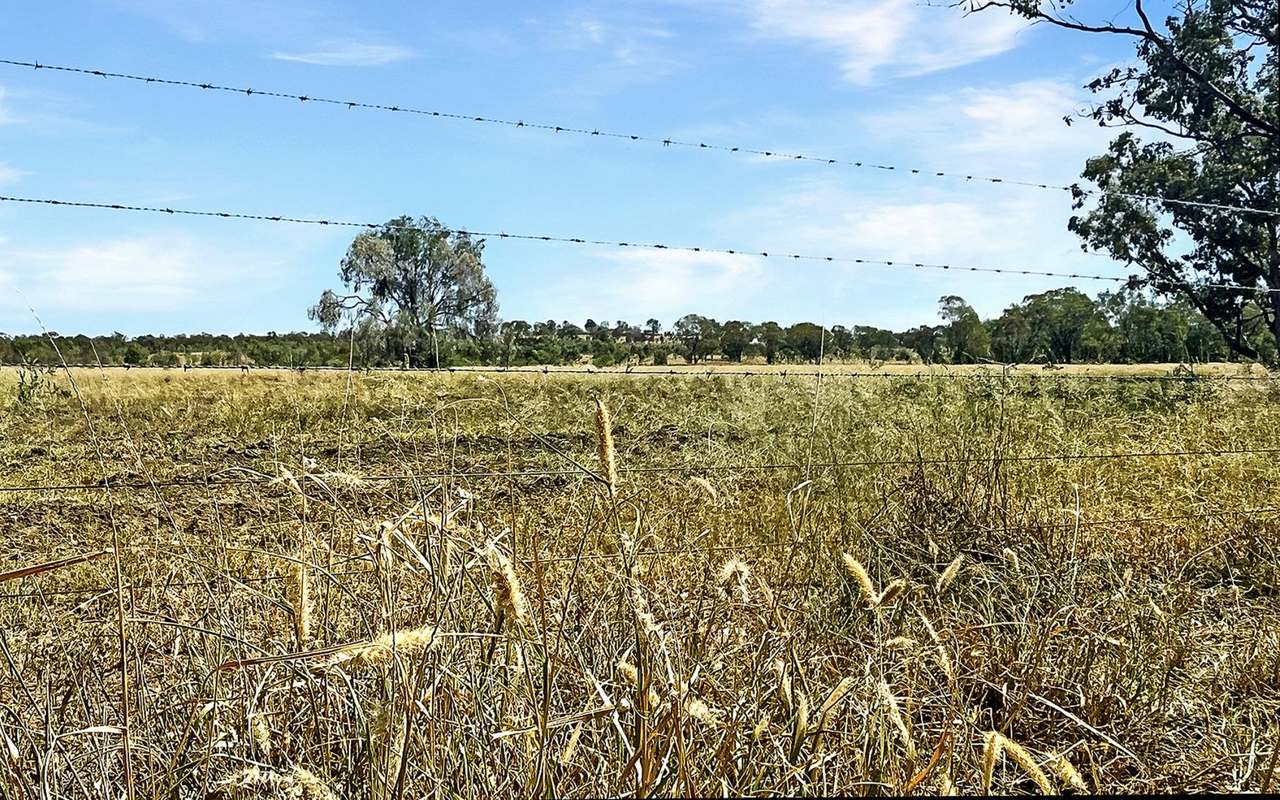 27926 Carnarvon Highway, Tingun Auction by Farmbuy.com - image 6