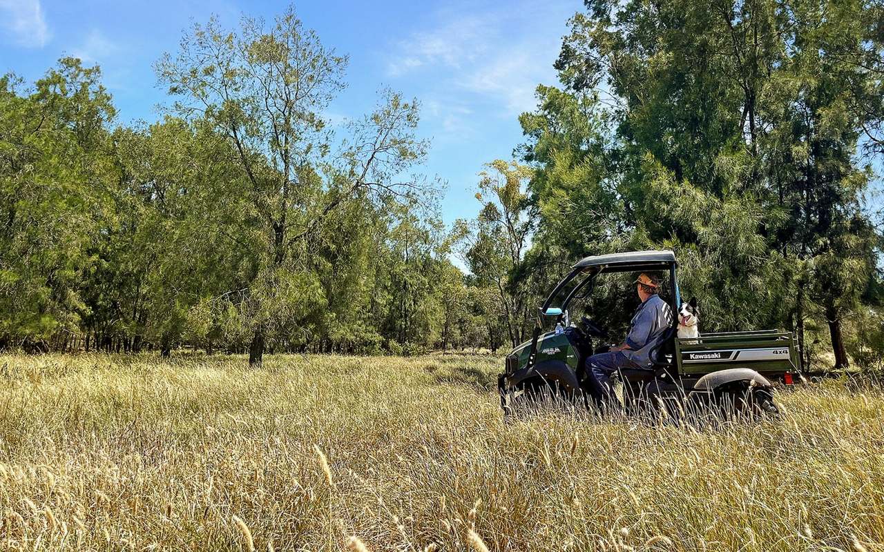27926 Carnarvon Highway, Tingun Auction by Farmbuy.com - image 3
