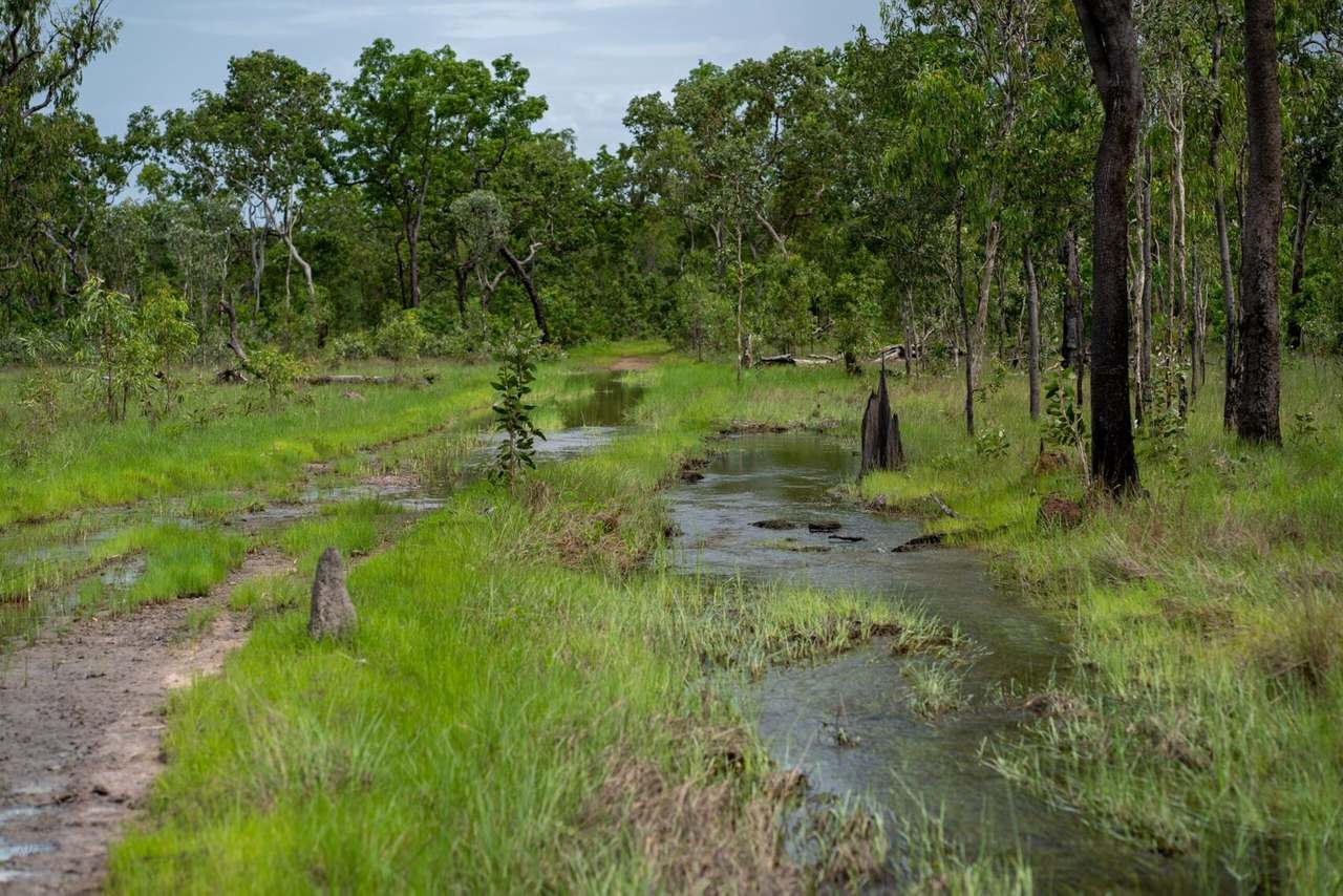 North Western side of Cape York Peninsula, Cape York For Sale by Farmbuy.com - image 17