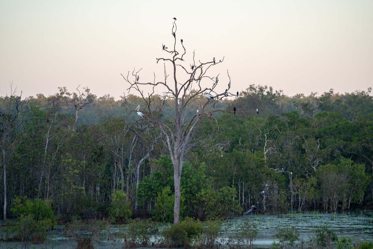 North Western side of Cape York Peninsula, Cape York For Sale by Farmbuy.com - image 28