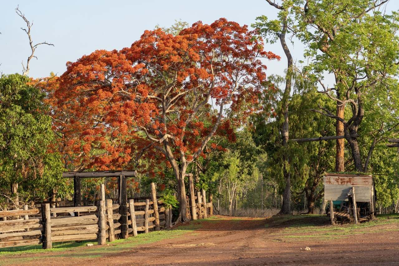 North Western side of Cape York Peninsula, Cape York For Sale by Farmbuy.com - image 4
