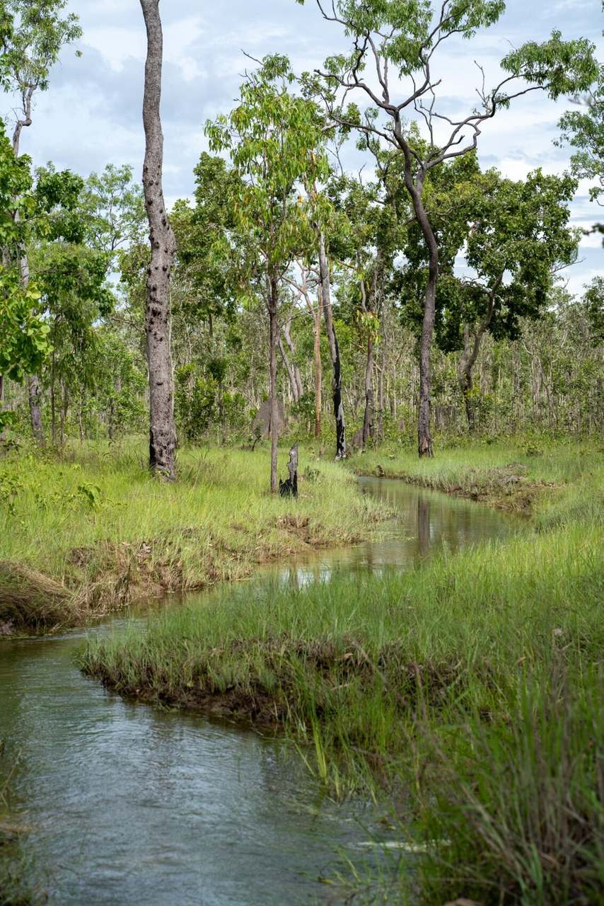 North Western side of Cape York Peninsula, Cape York For Sale by Farmbuy.com - image 19