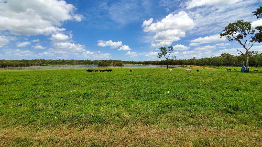 North Western side of Cape York Peninsula, Cape York For Sale by Farmbuy.com - image 18