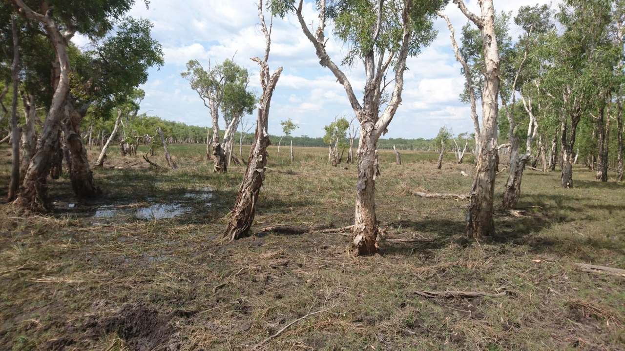 North Western side of Cape York Peninsula, Cape York For Sale by Farmbuy.com - image 21