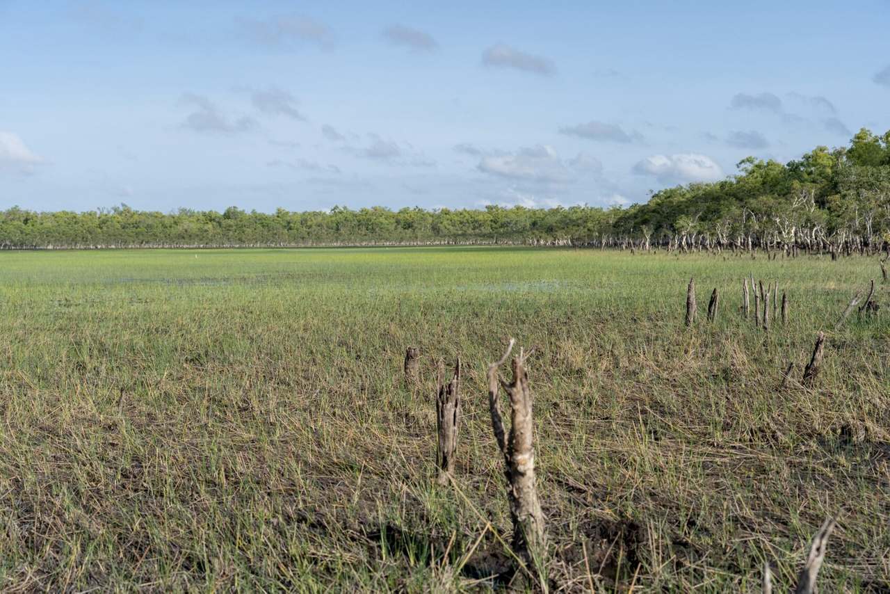 North Western side of Cape York Peninsula, Cape York For Sale by Farmbuy.com - image 25