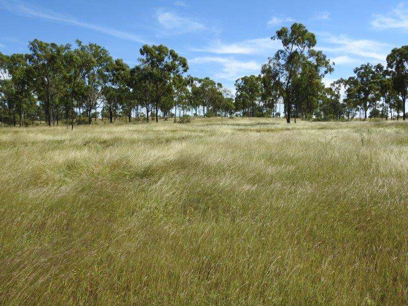 214 Dunroamin Road, Breddan Sold by Farmbuy.com - image 20