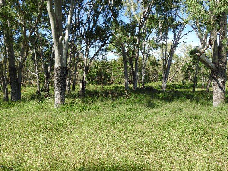 214 Dunroamin Road, Breddan Sold by Farmbuy.com - image 14