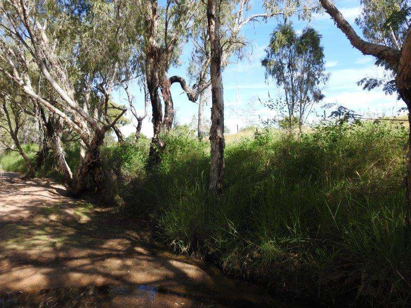 214 Dunroamin Road, Breddan Sold by Farmbuy.com - image 11
