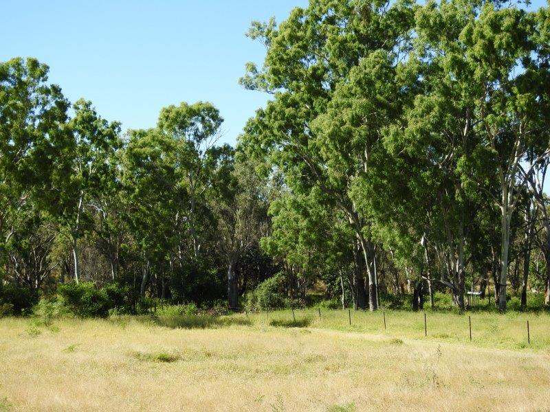 214 Dunroamin Road, Breddan Sold by Farmbuy.com - image 16