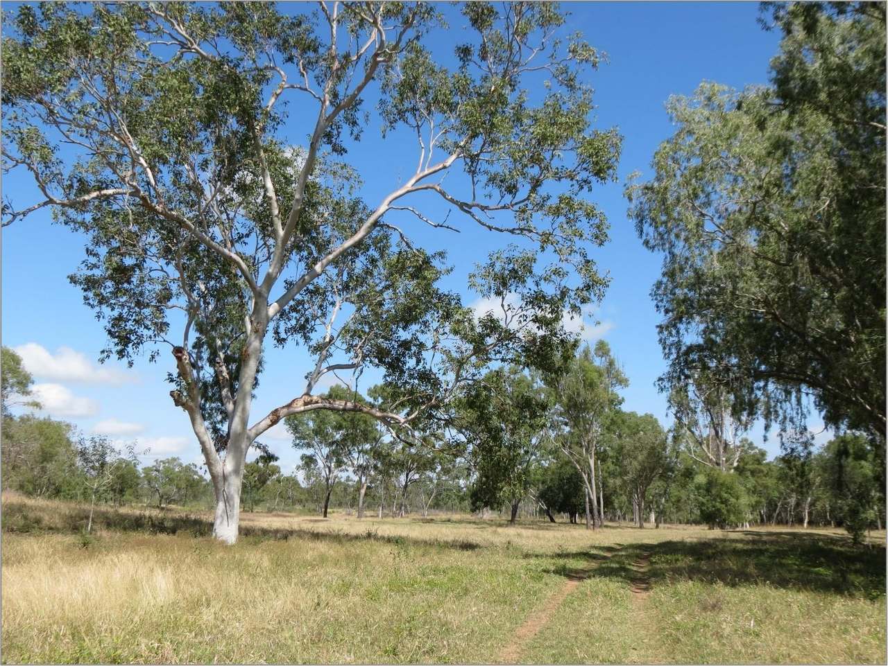 214 Dunroamin Road, Breddan Sold by Farmbuy.com - image 2