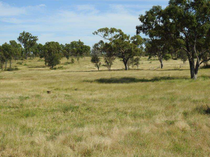 214 Dunroamin Road, Breddan Sold by Farmbuy.com - image 17