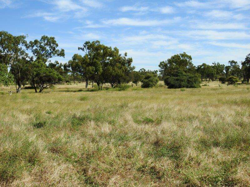 214 Dunroamin Road, Breddan Sold by Farmbuy.com - image 15