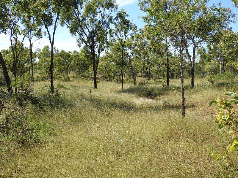 214 Dunroamin Road, Breddan Sold by Farmbuy.com - image 22