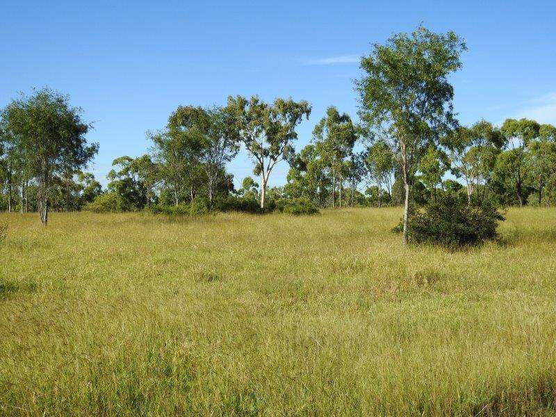 214 Dunroamin Road, Breddan Sold by Farmbuy.com - image 3