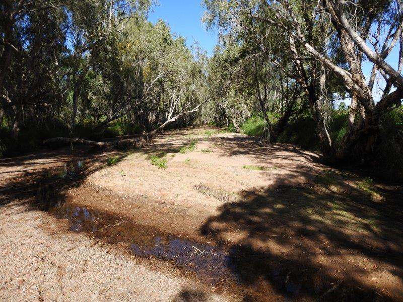 214 Dunroamin Road, Breddan Sold by Farmbuy.com - image 10