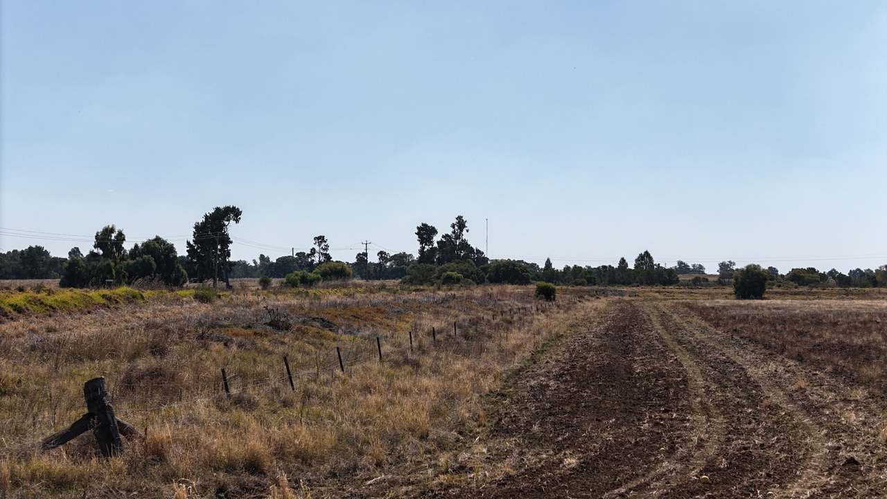 Lot 152, Donald Ross Drive, Coleambally Sold by Farmbuy.com - image 14