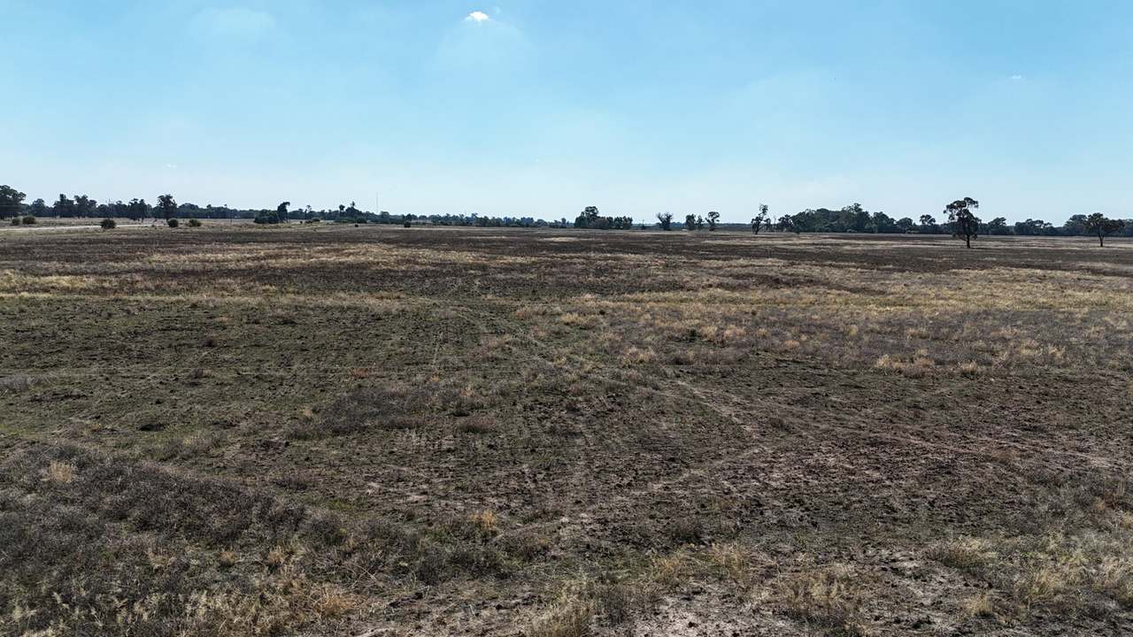 Lot 152, Donald Ross Drive, Coleambally Sold by Farmbuy.com - image 10