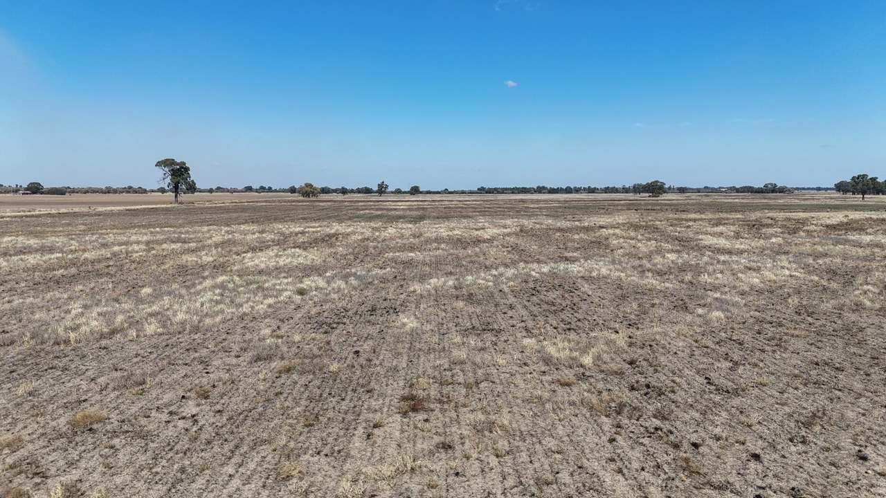 Lot 152, Donald Ross Drive, Coleambally Sold by Farmbuy.com - image 5