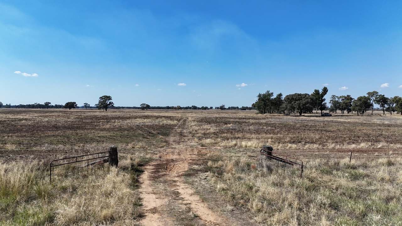 Lot 152, Donald Ross Drive, Coleambally Sold by Farmbuy.com - image 12