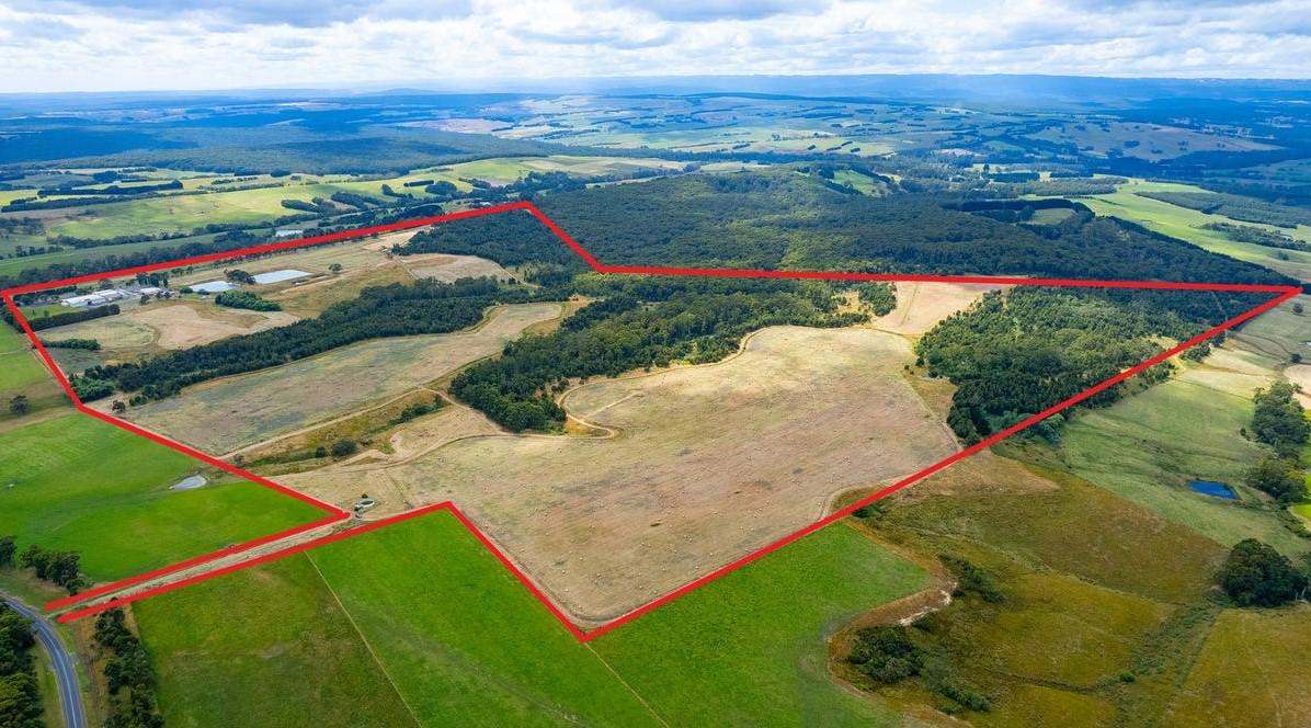 2492 Lavers Hill-Cobden Road, Simpson For Sale by Farmbuy.com - image 4