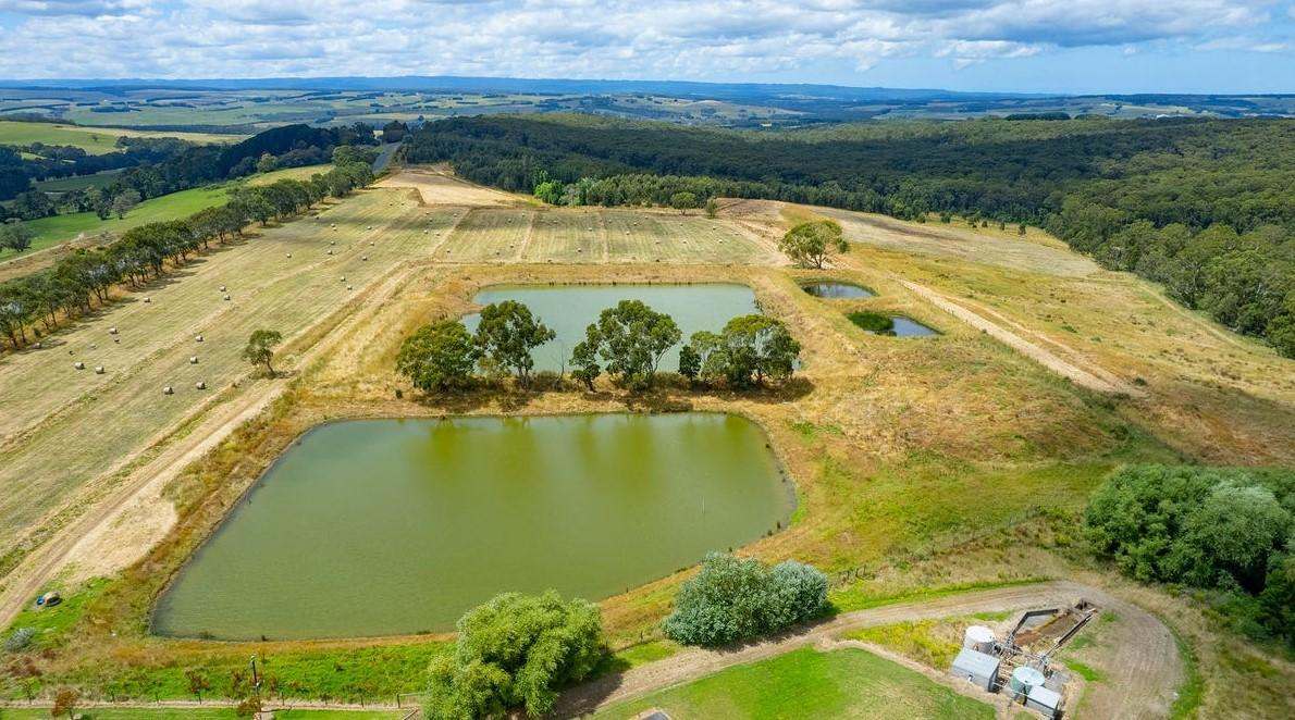 2492 Lavers Hill-Cobden Road, Simpson For Sale by Farmbuy.com - image 7