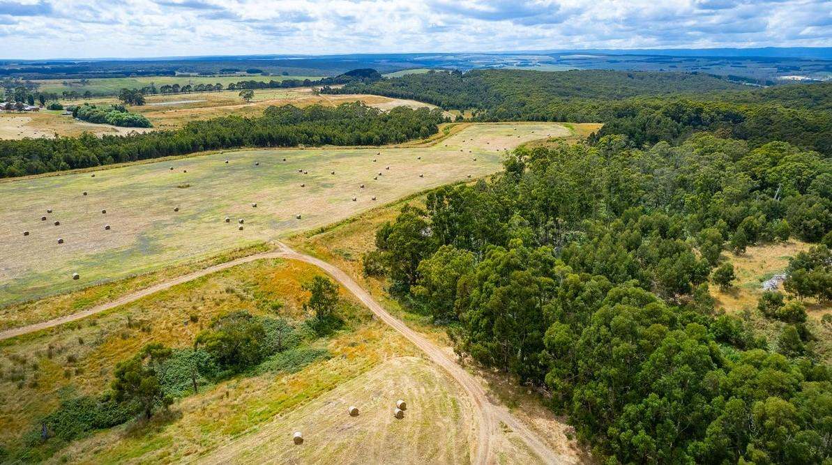 2492 Lavers Hill-Cobden Road, Simpson For Sale by Farmbuy.com - image 6