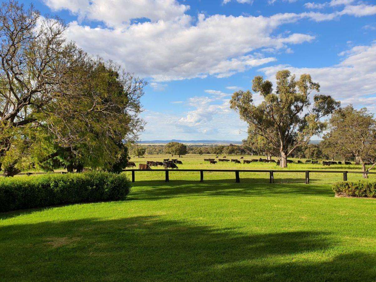 568 Pandora Pass Road , Bundella For Sale by Farmbuy.com - image 11