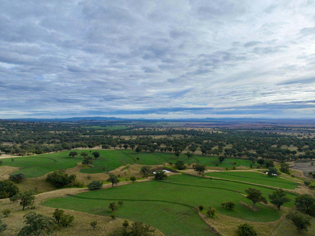 568 Pandora Pass Road , Bundella For Sale by Farmbuy.com - image 17