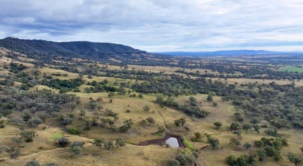 568 Pandora Pass Road , Bundella For Sale by Farmbuy.com - image 19