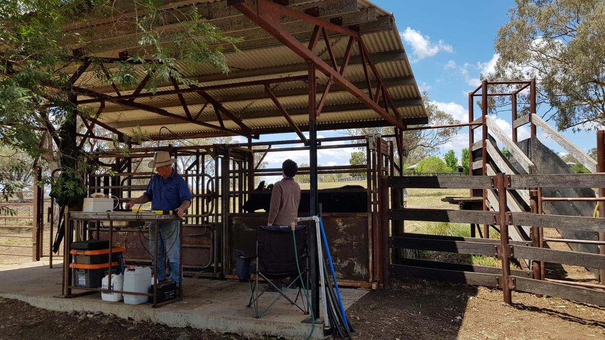 568 Pandora Pass Road , Bundella For Sale by Farmbuy.com - image 23