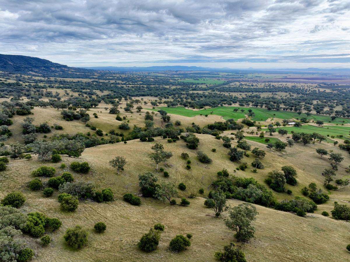 568 Pandora Pass Road , Bundella For Sale by Farmbuy.com - image 18