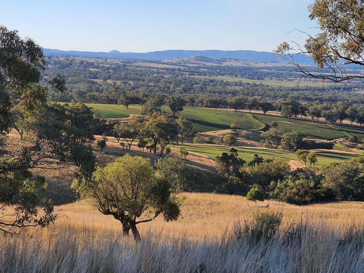 568 Pandora Pass Road , Bundella For Sale by Farmbuy.com - image 16