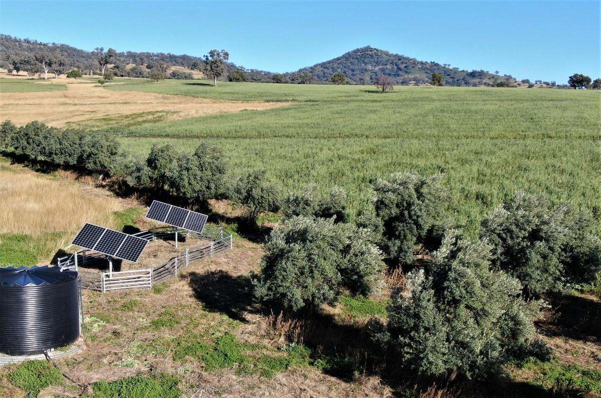 568 Pandora Pass Road , Bundella For Sale by Farmbuy.com - image 14