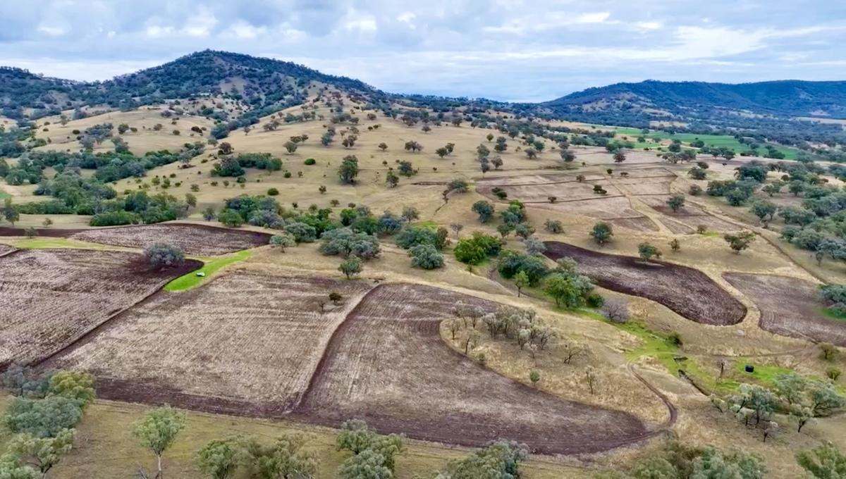 568 Pandora Pass Road , Bundella For Sale by Farmbuy.com - image 4