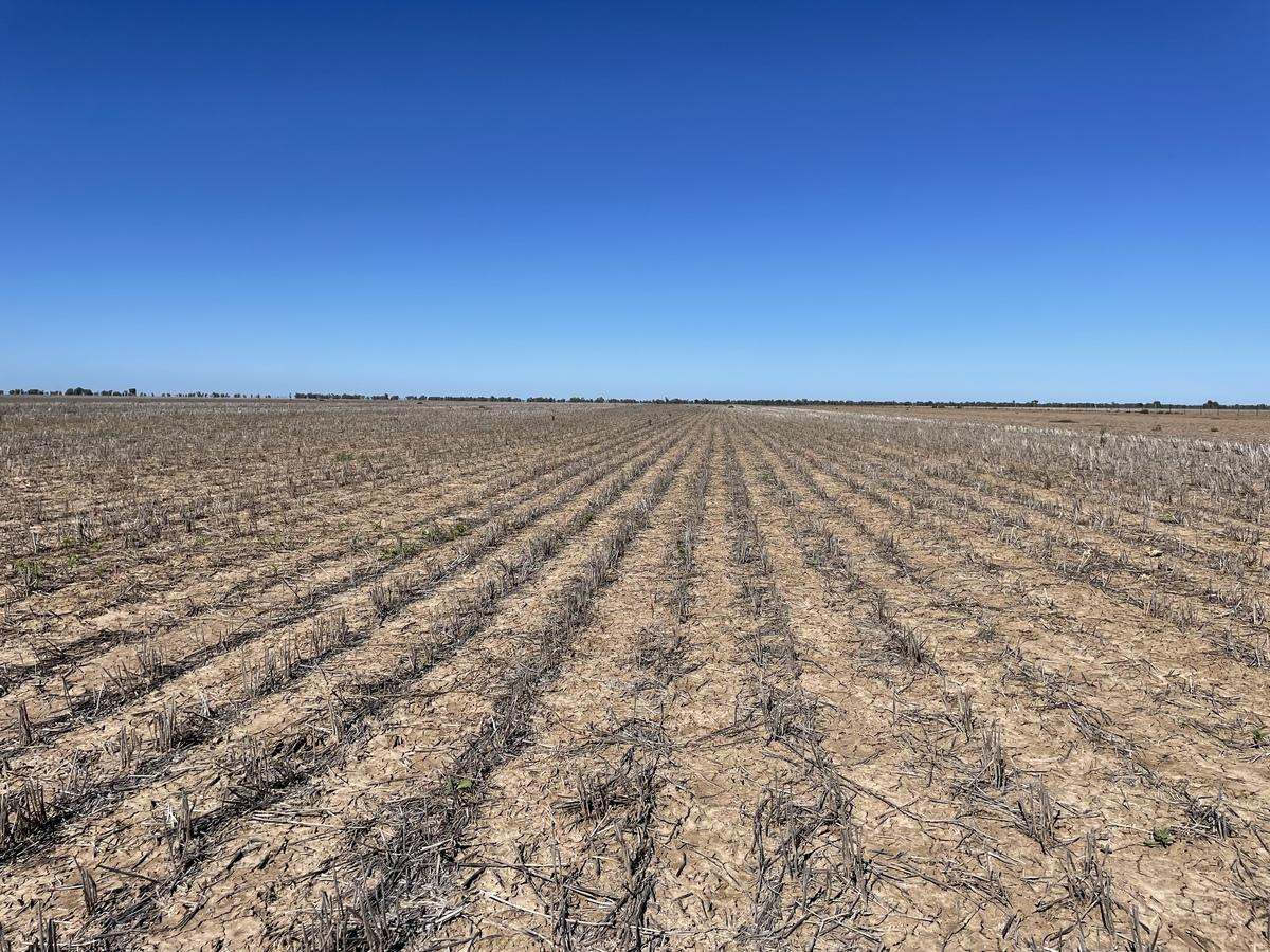 464 Goangra Road, Cryon Auction by Farmbuy.com - image 2