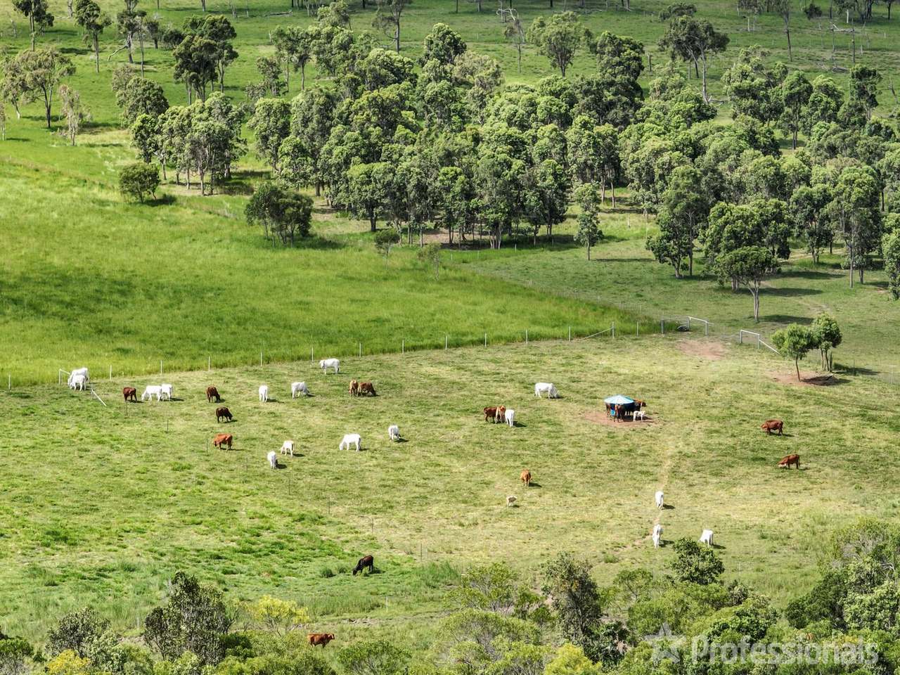 38 Madges Road, Bungundarra For Sale by Farmbuy.com - image 11