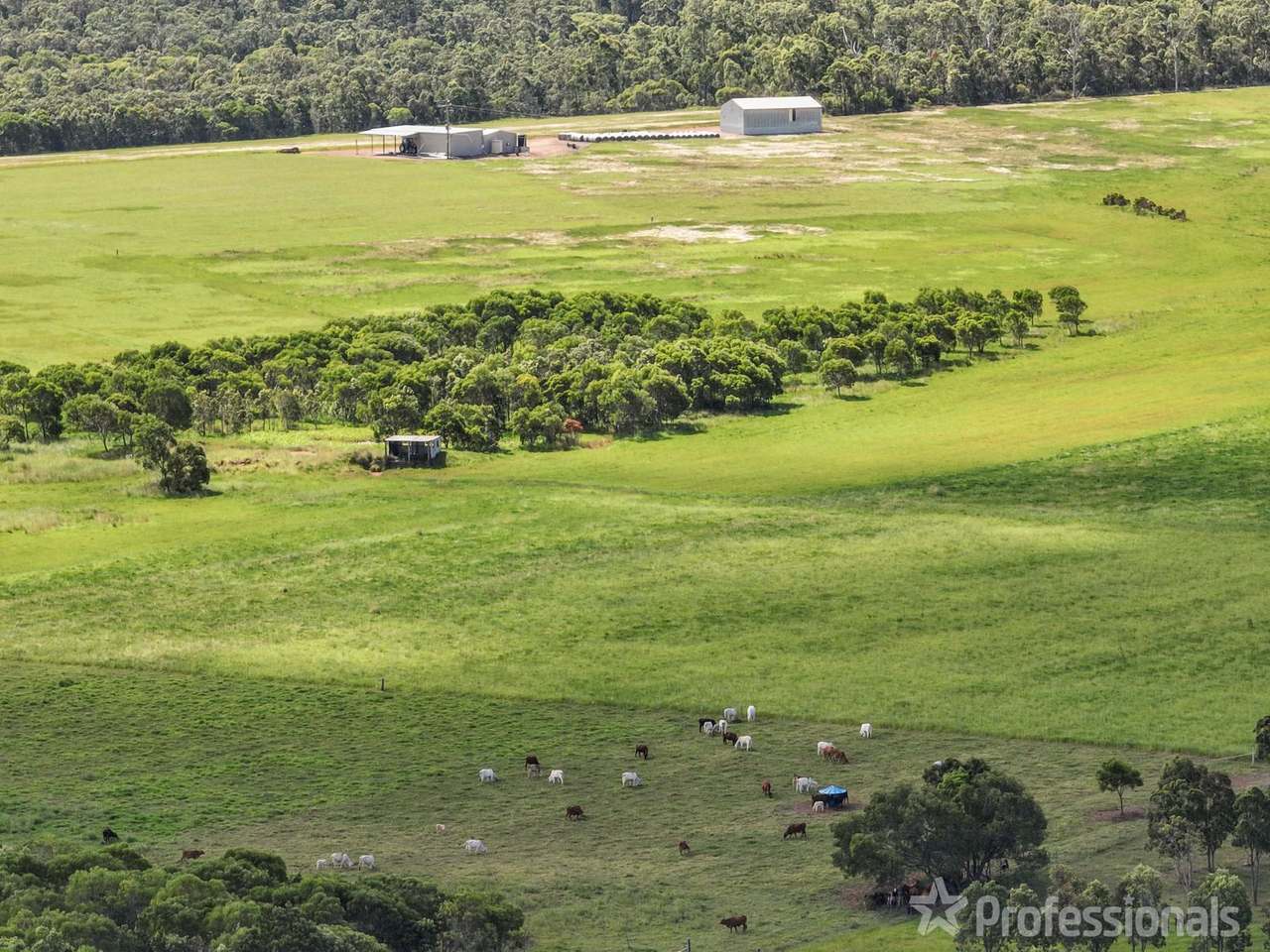 38 Madges Road, Bungundarra For Sale by Farmbuy.com - image 12