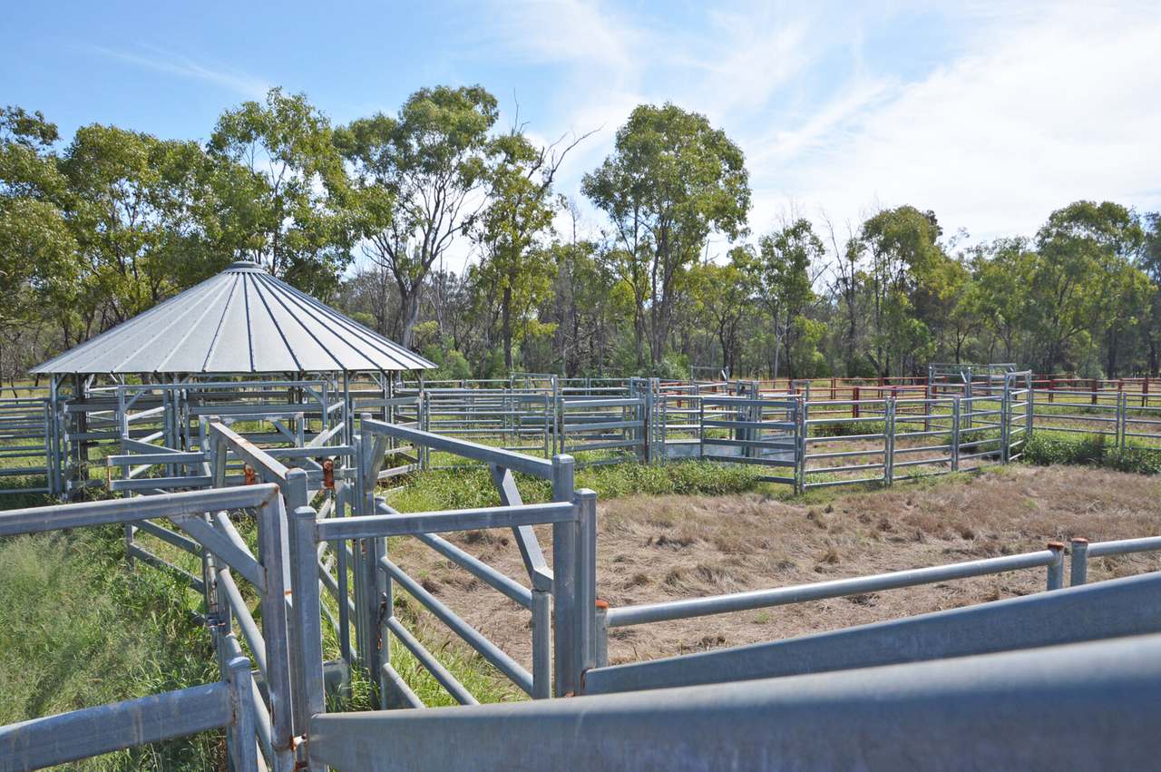 Old Moonie Road, Southwood Sold by Farmbuy.com - image 6