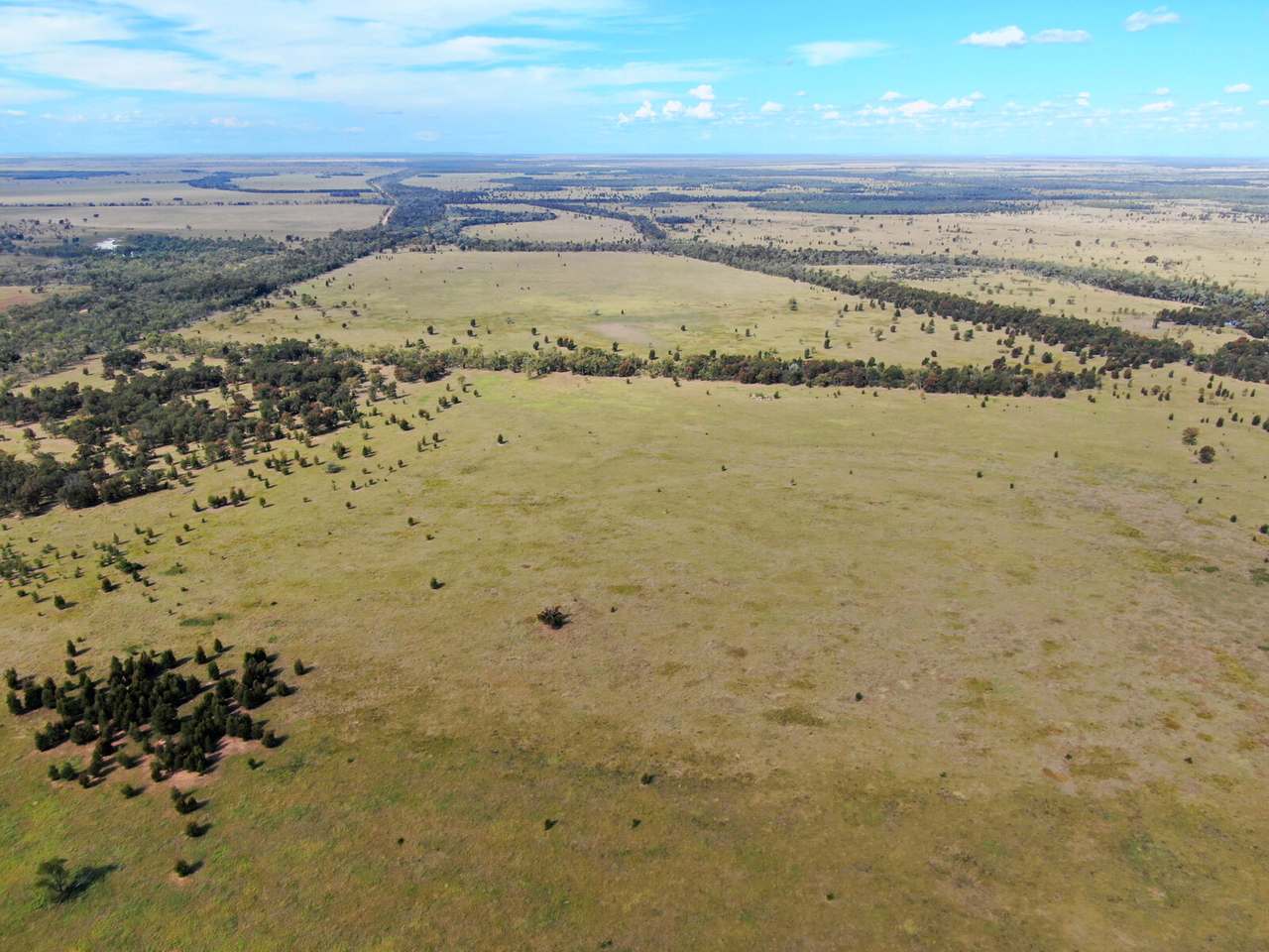 Old Moonie Road, Southwood Sold by Farmbuy.com - image 13