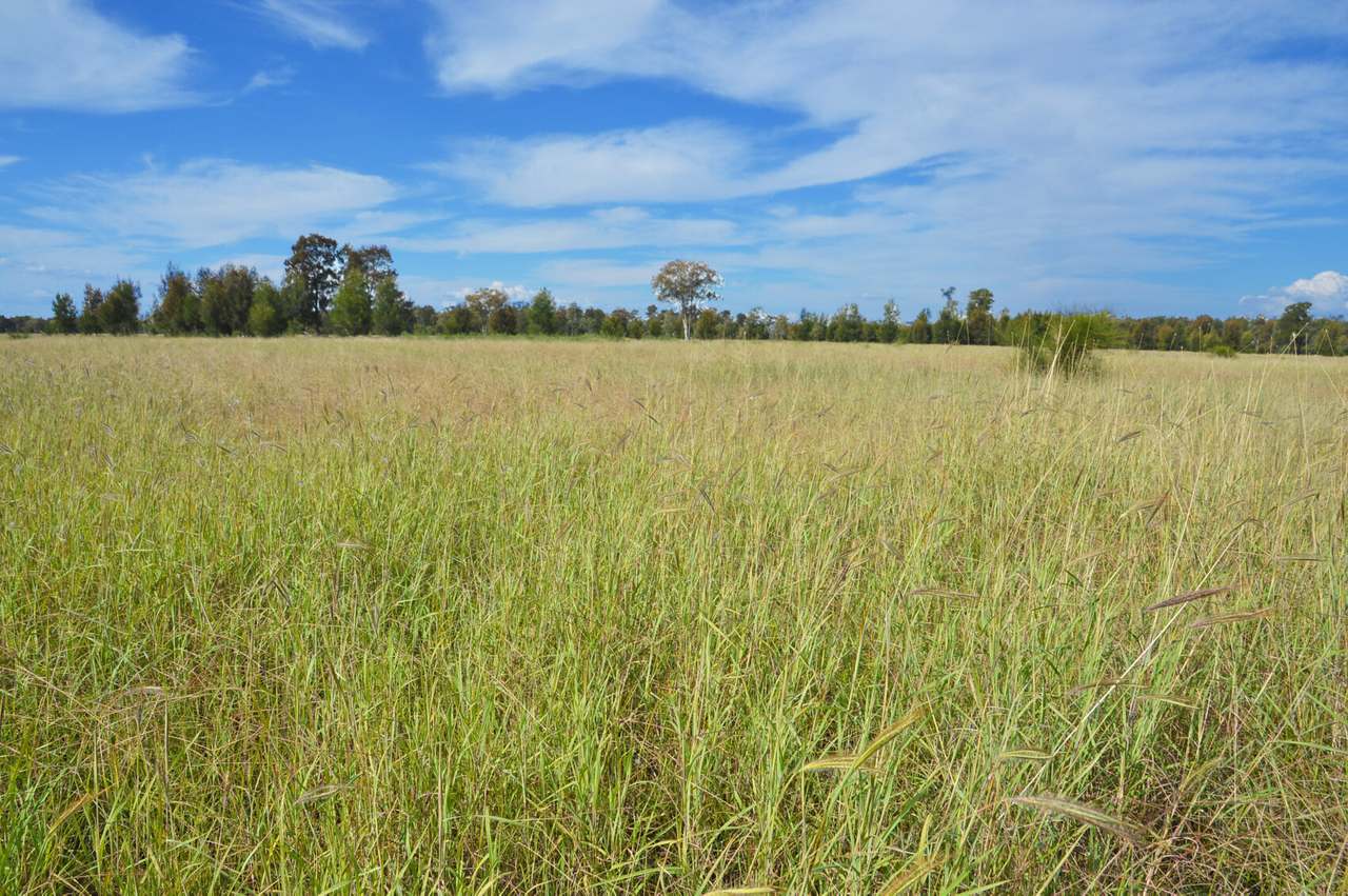 Old Moonie Road, Southwood Sold by Farmbuy.com - image 9