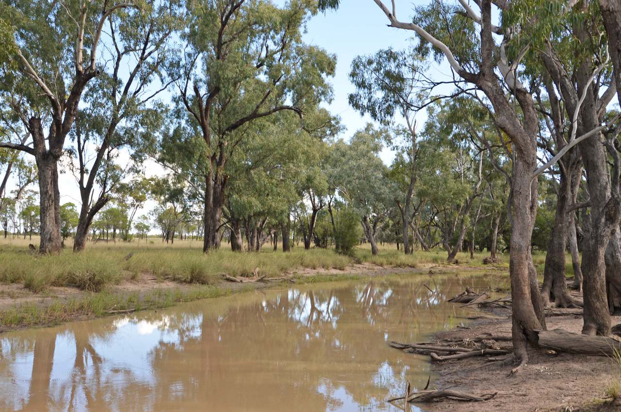 Old Moonie Road, Southwood Sold by Farmbuy.com - image 8