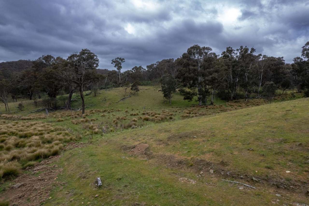17 Kangaloolah Road, Binda For Sale by Farmbuy.com - image 6