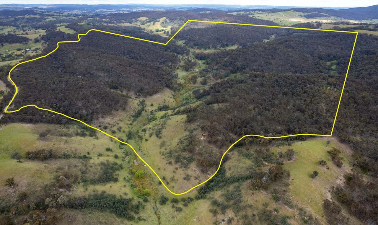 17 Kangaloolah Road, Binda For Sale by Farmbuy.com - image 2