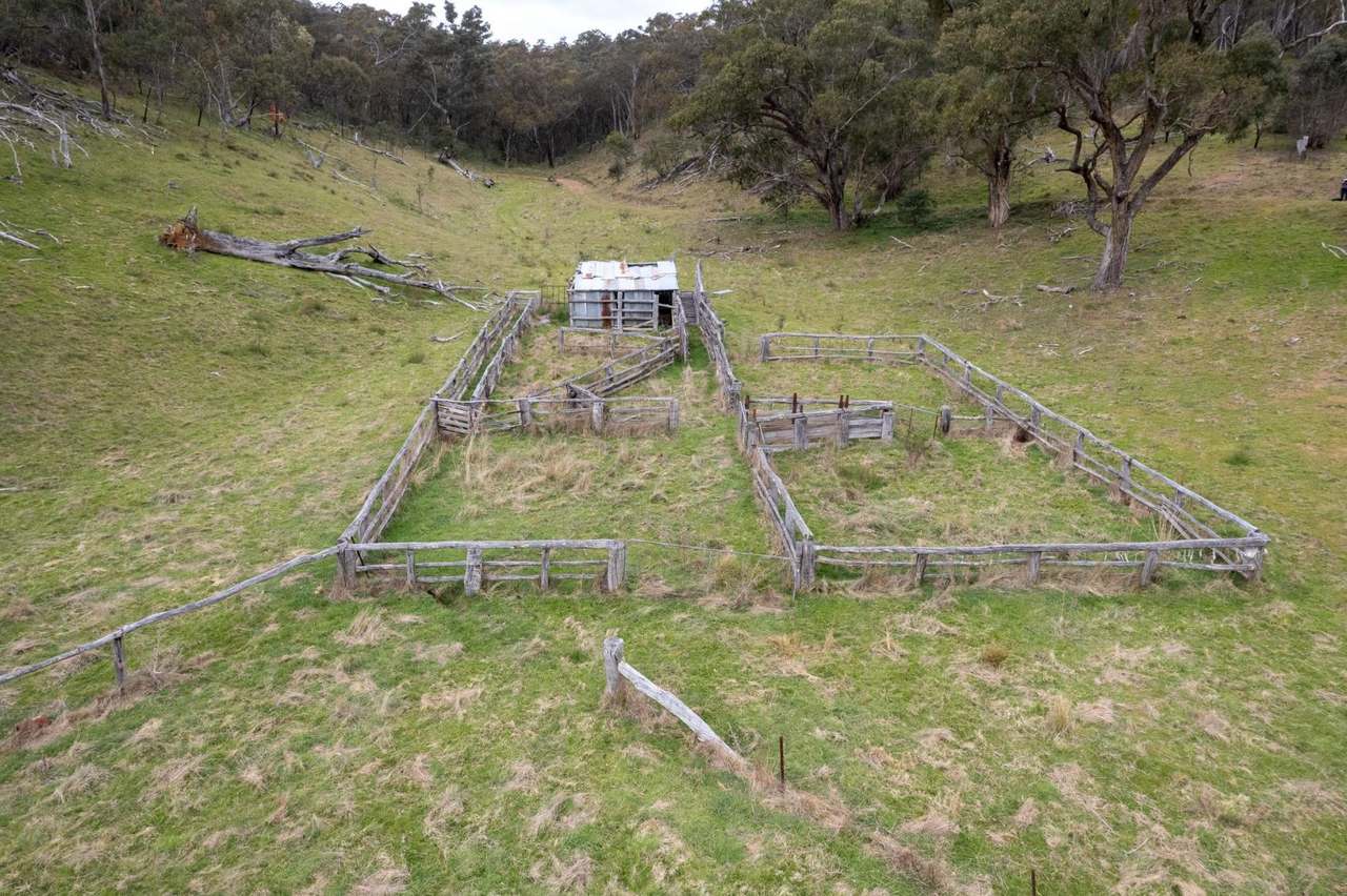 17 Kangaloolah Road, Binda For Sale by Farmbuy.com - image 9