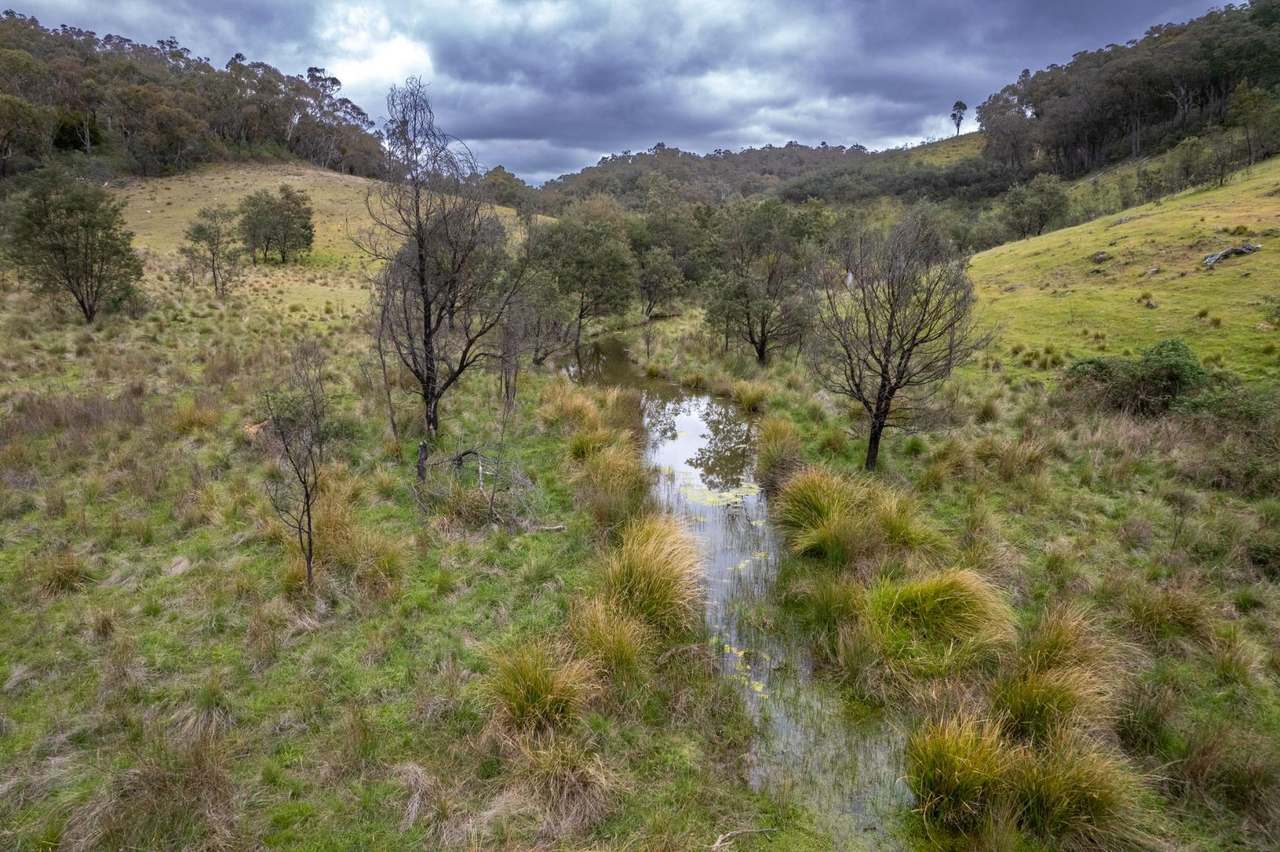 17 Kangaloolah Road, Binda For Sale by Farmbuy.com - image 7
