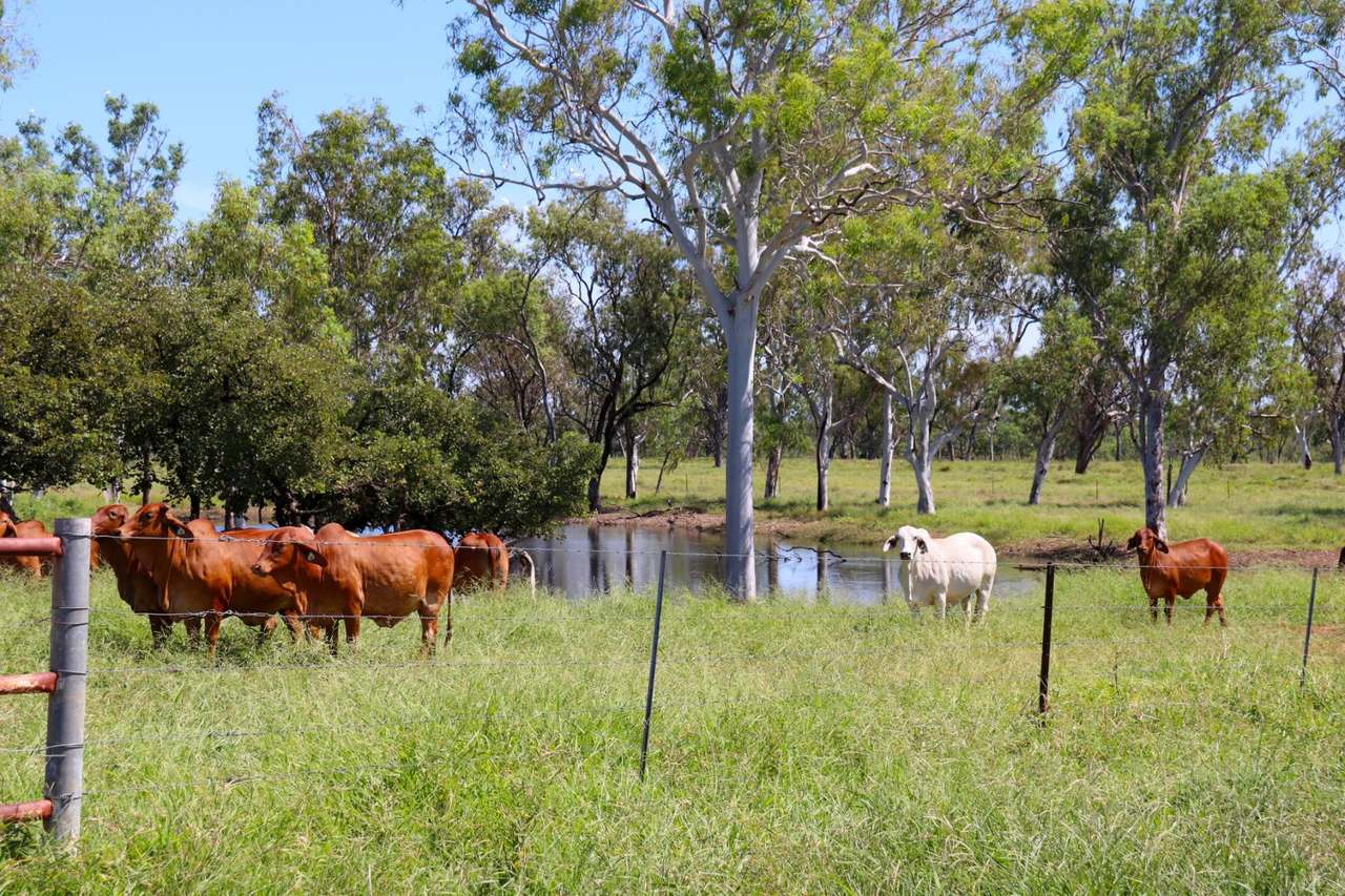 Katherine Meatworks Site, Katherine  Expressions of Interest by Farmbuy.com - image 18