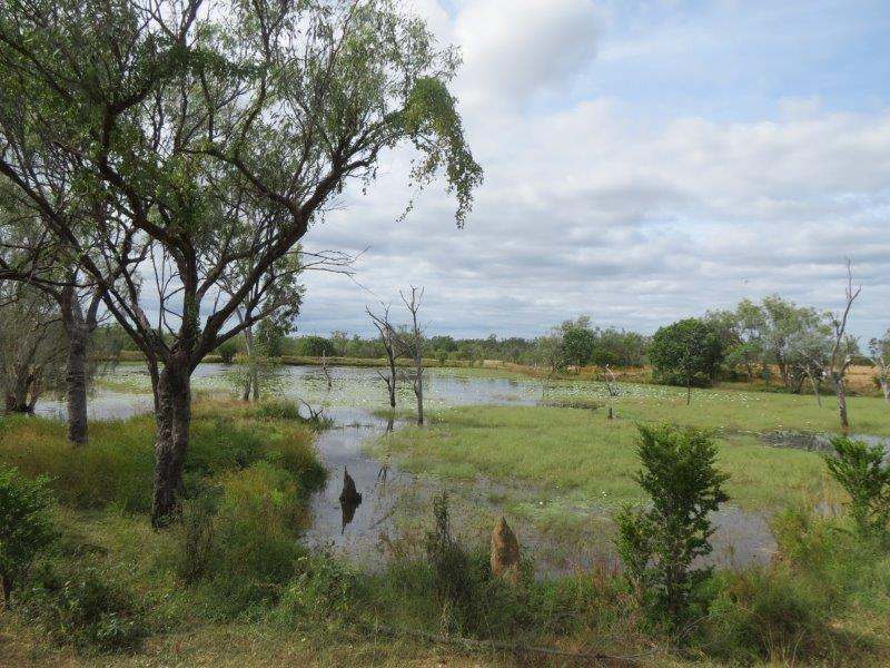 Vanlee Station, Mount Surprise For Sale by Farmbuy.com - image 34