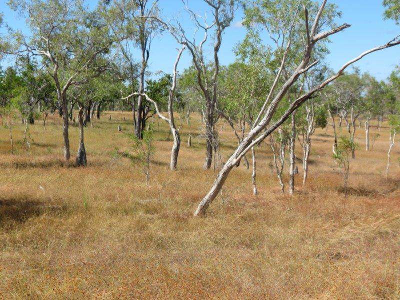 Vanlee Station, Mount Surprise For Sale by Farmbuy.com - image 23